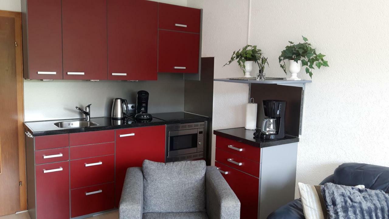 Gemuetlicher Ferienwohnung In Niedersfeld Bei Winterberg, Kostenloses Wlan Extérieur photo